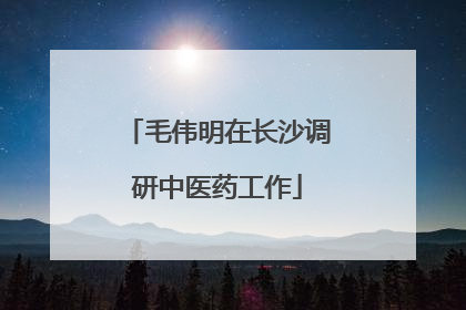 毛伟明在长沙调研中医药工作